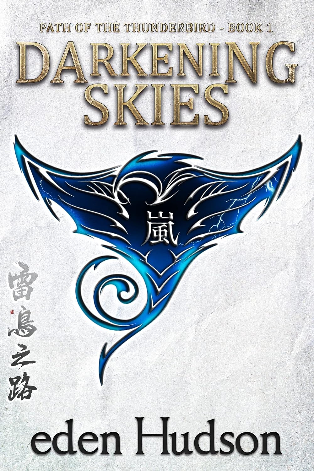 Darkening Skies front cover